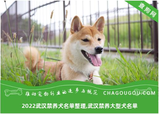 2022武汉禁养犬名单整理,武汉禁养大型犬名单