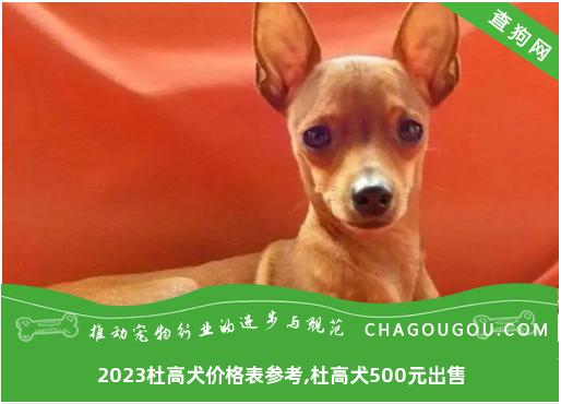 2023杜高犬价格表参考,杜高犬500元出售