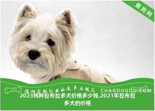 2023纯种拉布拉多犬价格多少钱,2021年拉布拉多犬的价格