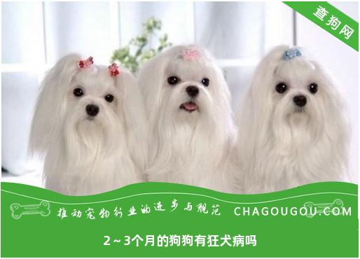 2～3个月的狗狗有狂犬病吗