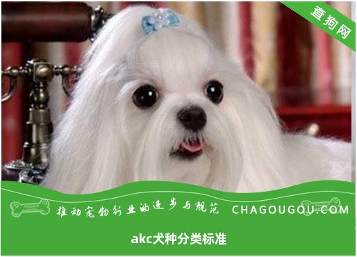 akc犬种分类标准