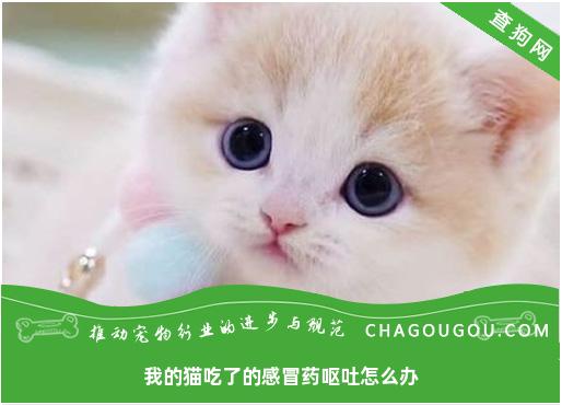 我的猫吃了的感冒药呕吐怎么办