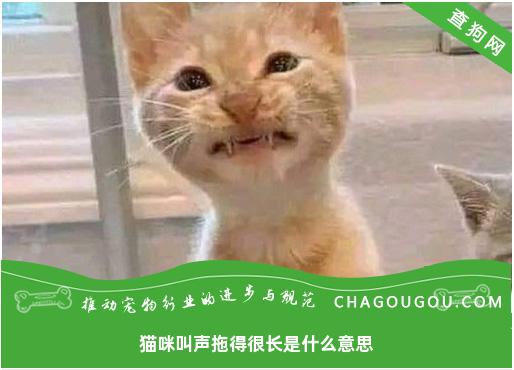 猫咪叫声拖得很长是什么意思