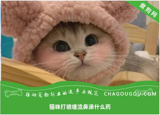 猫咪打喷嚏流鼻涕吃什么药