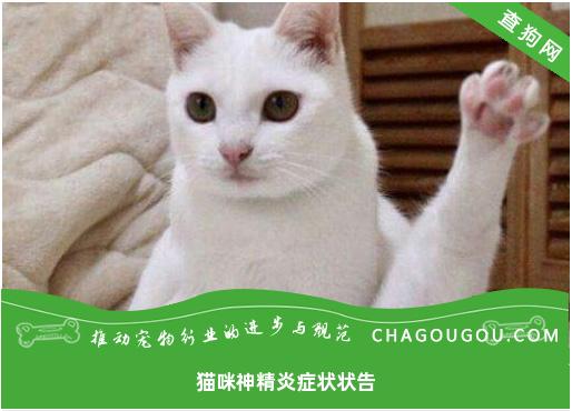 猫咪神经炎症状