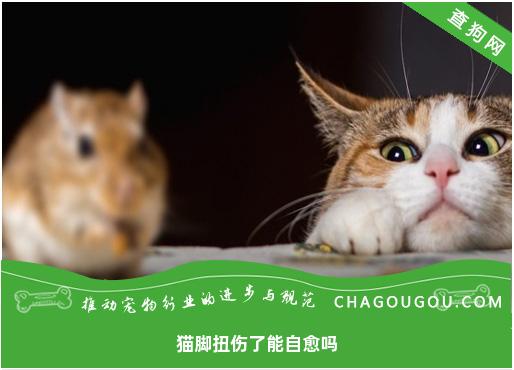 猫脚扭伤了能自愈吗