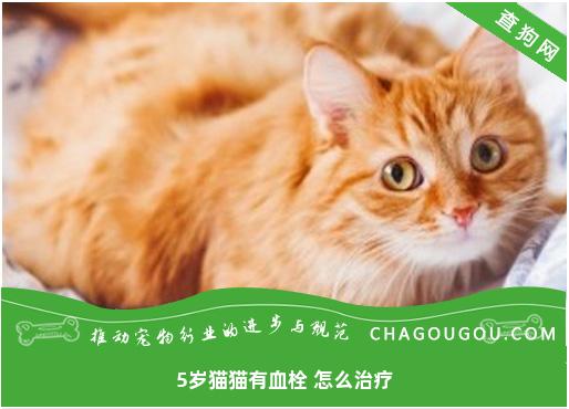 5岁猫猫有血栓 怎么治疗