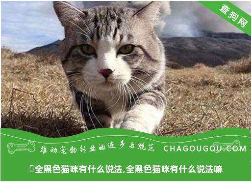 ​全黑色猫咪有什么说法,全黑色猫咪有什么说法嘛