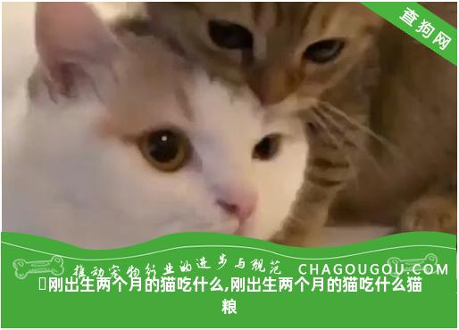 ​刚出生两个月的猫吃什么,刚出生两个月的猫吃什么猫粮