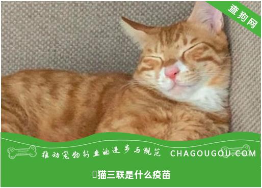 ​猫三联是什么疫苗