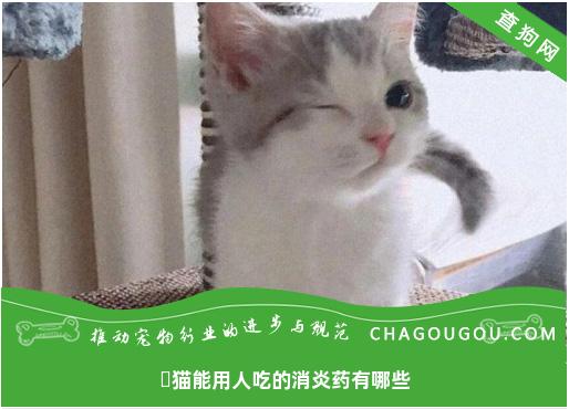 ​猫能用人吃的消炎药有哪些