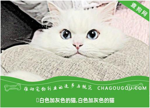 ​白色加灰色的猫,白色加灰色的猫