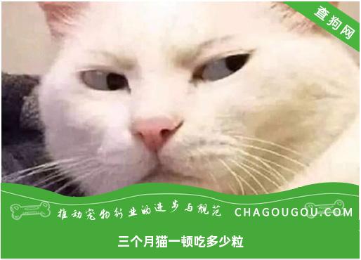 三个月猫一顿吃多少粒