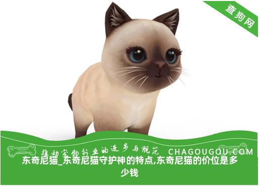 东奇尼猫_东奇尼猫守护神的特点,东奇尼猫的价位是多少钱