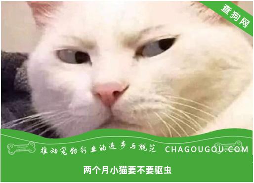 两个月小猫要不要驱虫