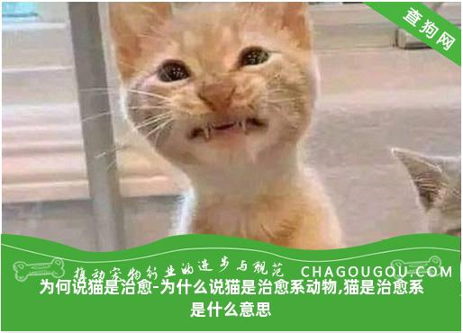 为何说猫是治愈-为什么说猫是治愈系动物,猫是治愈系是什么意思