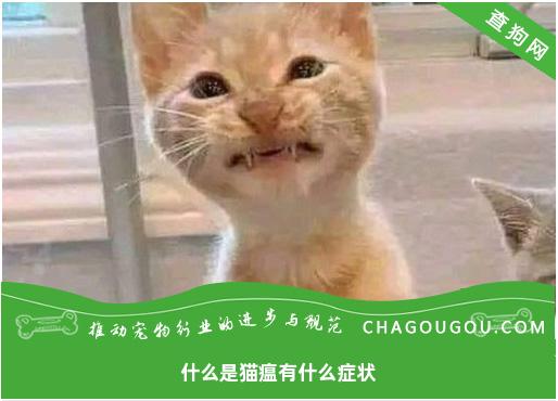 什么是猫瘟有什么症状