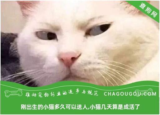 刚出生的小猫多久可以送人,小猫几天算是成活了