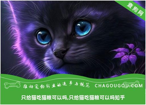 只给猫吃猫粮可以吗,只给猫吃猫粮可以吗知乎