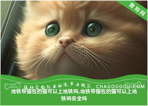 地铁带猫包的猫可以上地铁吗,地铁带猫包的猫可以上地铁吗安全吗