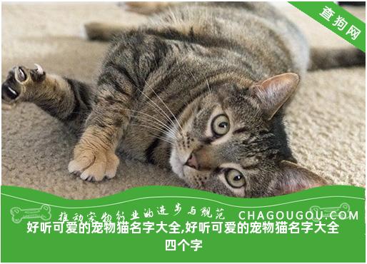 好听可爱的宠物猫名字大全,好听可爱的宠物猫名字大全四个字