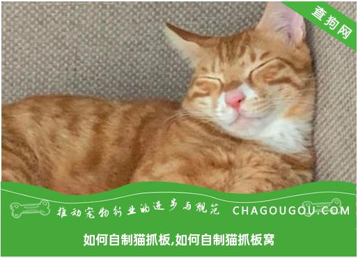 如何自制猫抓板,如何自制猫抓板窝