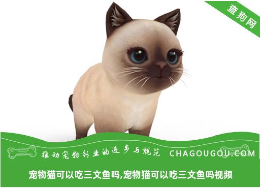 宠物猫可以吃三文鱼吗,宠物猫可以吃三文鱼吗视频