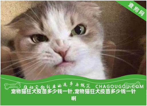 宠物猫狂犬疫苗多少钱一针,宠物猫狂犬疫苗多少钱一针啊