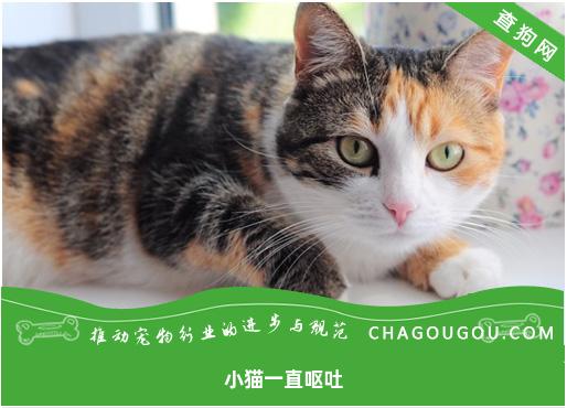 小猫一直呕吐