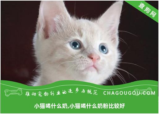 小猫喝什么奶,小猫喝什么奶粉比较好