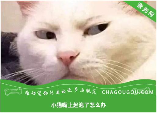 小猫嘴上起泡了怎么办