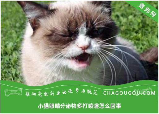 小猫眼睛分泌物多打喷嚏怎么回事