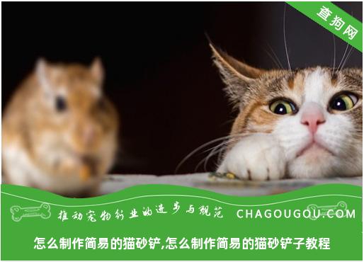 怎么制作简易的猫砂铲,怎么制作简易的猫砂铲子教程