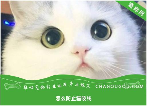 怎么防止猫咬线