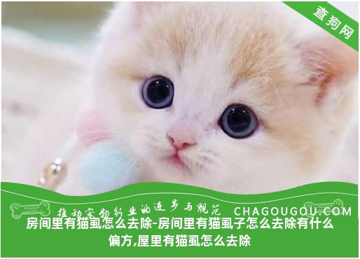 房间里有猫虱怎么去除-房间里有猫虱子怎么去除有什么偏方,屋里有猫虱怎么去除