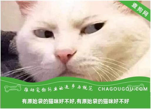 有原始袋的猫咪好不好,有原始袋的猫咪好不好