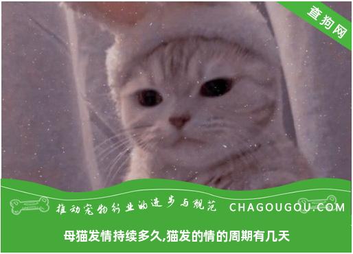 母猫发情持续多久,猫发的情的周期有几天