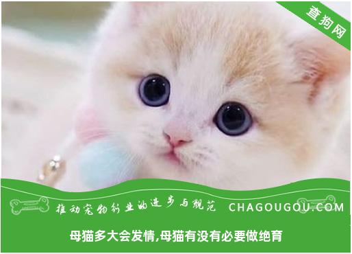 母猫多大会发情,母猫有没有必要做绝育