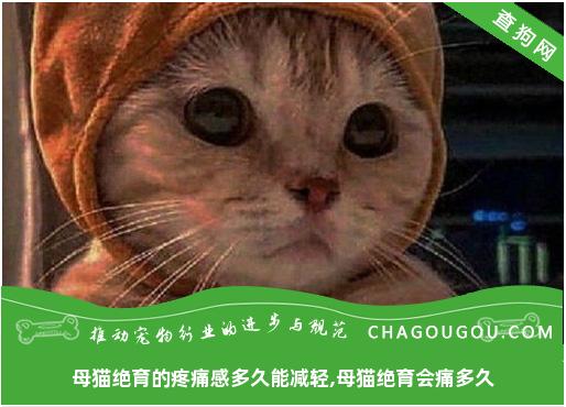 母猫绝育的疼痛感多久能减轻,母猫绝育会痛多久