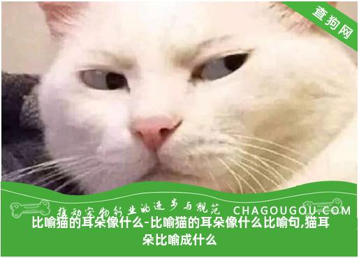 比喻猫的耳朵像什么-比喻猫的耳朵像什么比喻句,猫耳朵比喻成什么