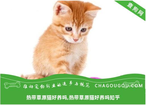 热带草原猫好养吗,热带草原猫好养吗知乎