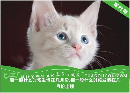 猫一般什么时候发情在几月份,猫一般什么时候发情在几月份出现