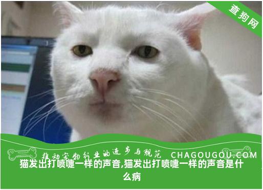 猫发出打喷嚏一样的声音,猫发出打喷嚏一样的声音是什么病