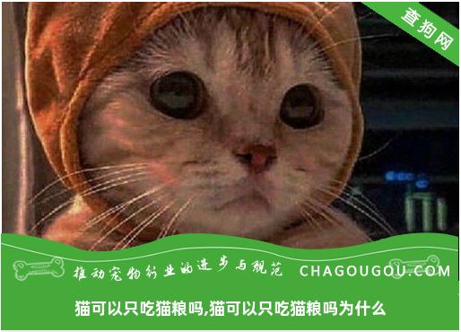 猫可以只吃猫粮吗,猫可以只吃猫粮吗为什么