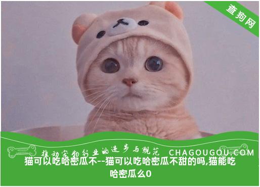 猫可以吃哈密瓜不--猫可以吃哈密瓜不甜的吗,猫能吃哈密瓜么0