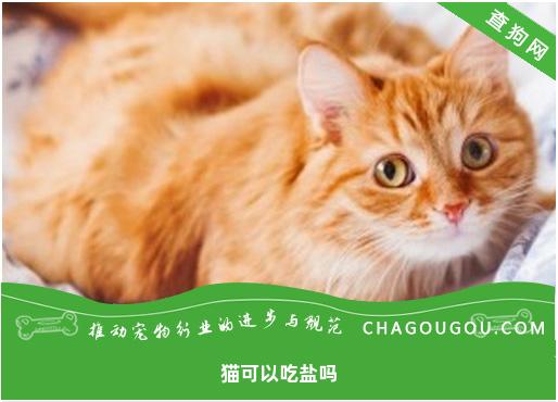 猫可以吃盐吗