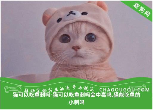 猫可以吃鱼刺吗-猫可以吃鱼刺吗会中毒吗,猫能吃鱼的小刺吗