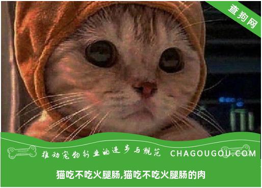 猫吃不吃火腿肠,猫吃不吃火腿肠的肉