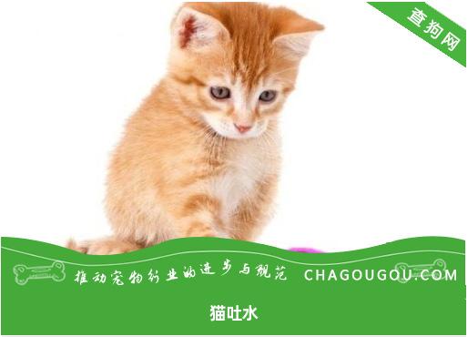 猫吐水