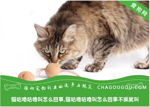 猫咕噜咕噜叫怎么回事,猫咕噜咕噜叫怎么回事不摸就叫